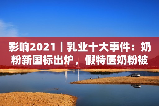 影响2021｜乳业十大事件：奶粉新国标出炉，假特医奶粉被罚