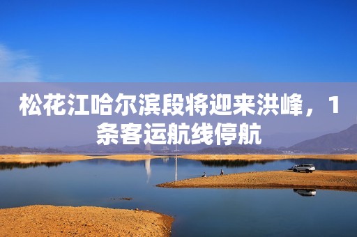 松花江哈尔滨段将迎来洪峰，1条客运航线停航