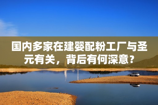 国内多家在建婴配粉工厂与圣元有关，背后有何深意？