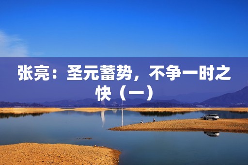 张亮：圣元蓄势，不争一时之快（一）