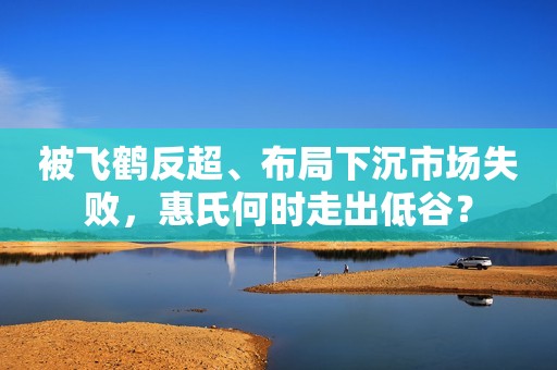 被飞鹤反超、布局下沉市场失败，惠氏何时走出低谷？