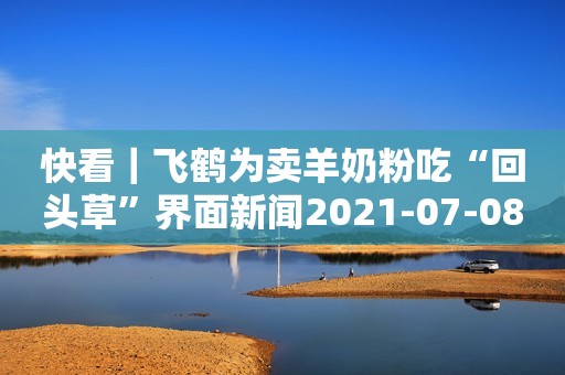 快看｜飞鹤为卖羊奶粉吃“回头草”界面新闻2021-07-08 22:12界面新闻2021-07-08 22:12
