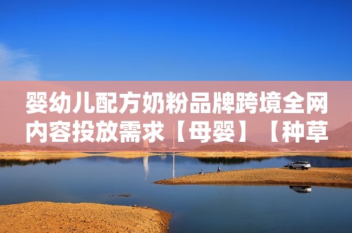 婴幼儿配方奶粉品牌跨境全网内容投放需求【母婴】【种草营销】（附下载）