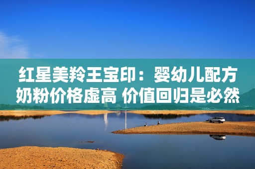 红星美羚王宝印：婴幼儿配方奶粉价格虚高 价值回归是必然趋势金融界2020-12-06 16:55金融界2020-12-06 16:55