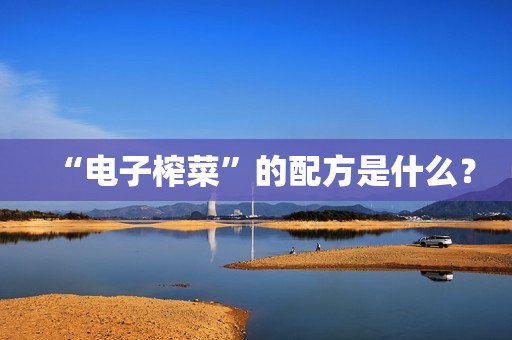 “电子榨菜”的配方是什么？