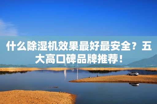 什么除湿机效果最好最安全？五大高口碑品牌推荐！
