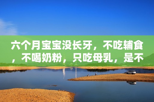 六个月宝宝没长牙，不吃辅食，不喝奶粉，只吃母乳，是不是拖后腿