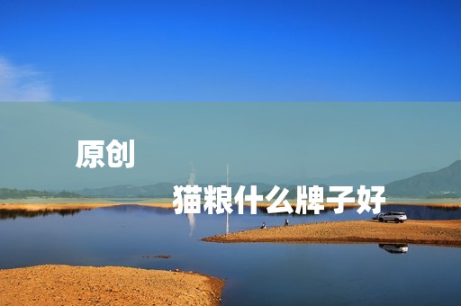 原创
            猫粮什么牌子好