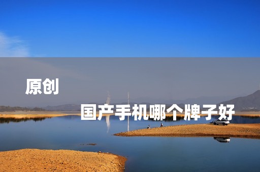 原创
            国产手机哪个牌子好