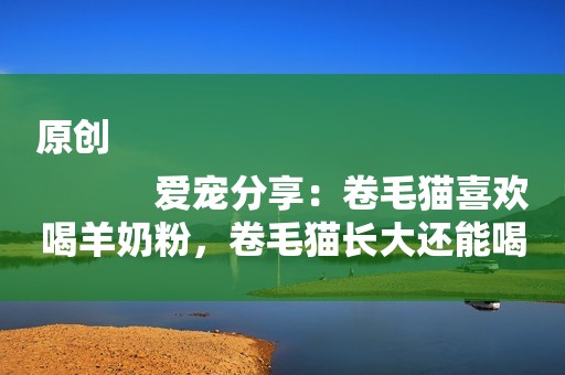 原创
            爱宠分享：卷毛猫喜欢喝羊奶粉，卷毛猫长大还能喝羊奶粉吗