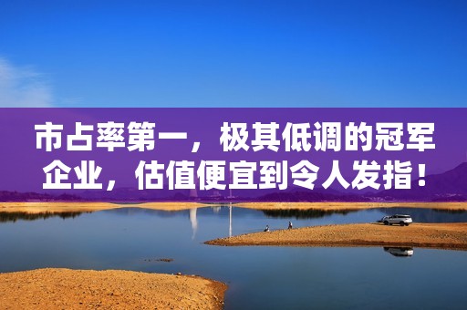 市占率第一，极其低调的冠军企业，估值便宜到令人发指！