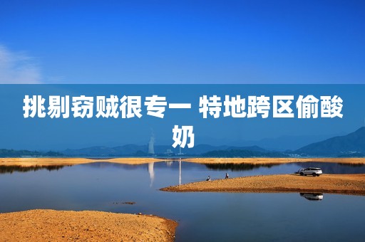 挑剔窃贼很专一 特地跨区偷酸奶