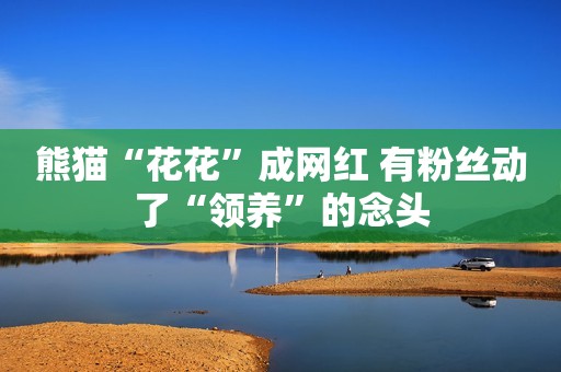 熊猫“花花”成网红 有粉丝动了“领养”的念头