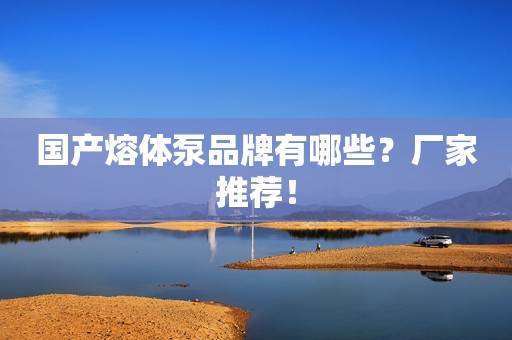 国产熔体泵品牌有哪些？厂家推荐！