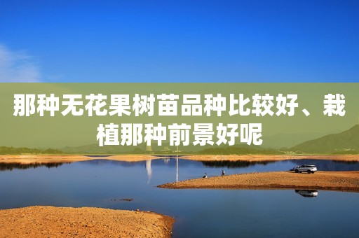 那种无花果树苗品种比较好、栽植那种前景好呢