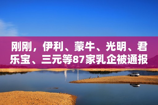 刚刚，伊利、蒙牛、光明、君乐宝、三元等87家乳企被通报了！奶协还发布重磅计划，关乎3500万孩子！新浪财经2020-12-23 11:29新浪财经2020-12-23 11:29