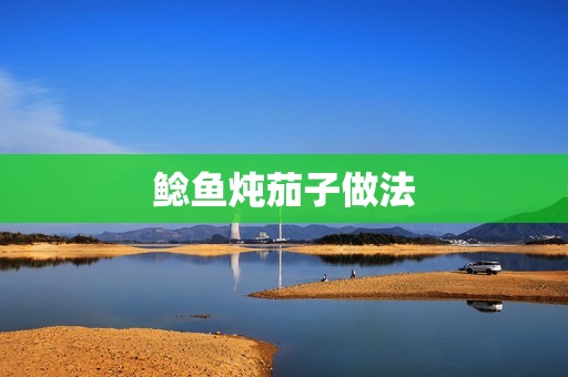 鲶鱼炖茄子做法