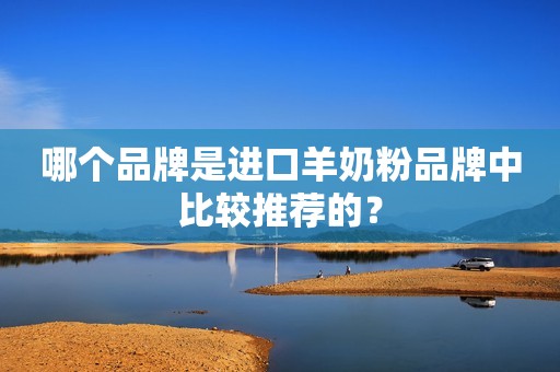 哪个品牌是进口羊奶粉品牌中比较推荐的？