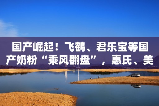 国产崛起！飞鹤、君乐宝等国产奶粉“乘风翻盘”，惠氏、美赞臣等洋奶粉发展遇瓶颈蓝鲸财经2021-04-20 17:18蓝鲸财经2021-04-20 17:18