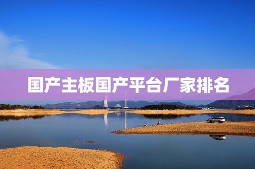 国产主板国产平台厂家排名