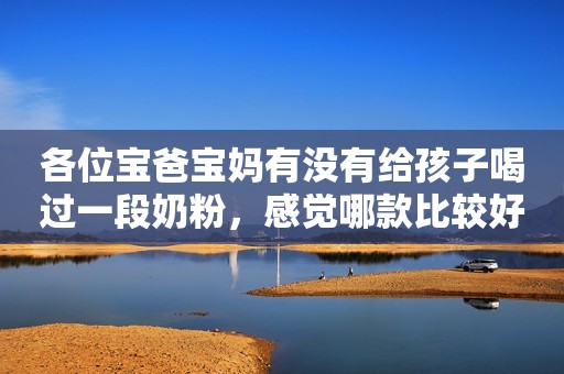 各位宝爸宝妈有没有给孩子喝过一段奶粉，感觉哪款比较好！