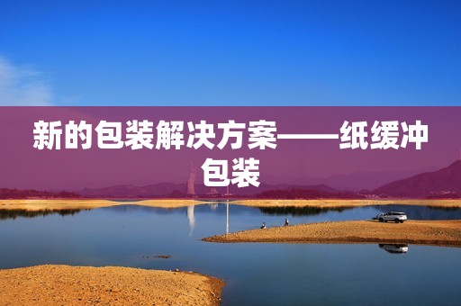 新的包装解决方案——纸缓冲包装