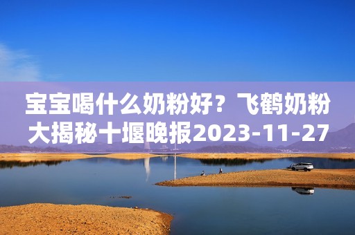宝宝喝什么奶粉好？飞鹤奶粉大揭秘十堰晚报2023-11-27 17:34十堰晚报2023-11-27 17:34