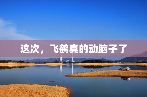 这次，飞鹤真的动脑子了