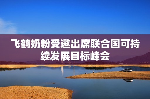飞鹤奶粉受邀出席联合国可持续发展目标峰会