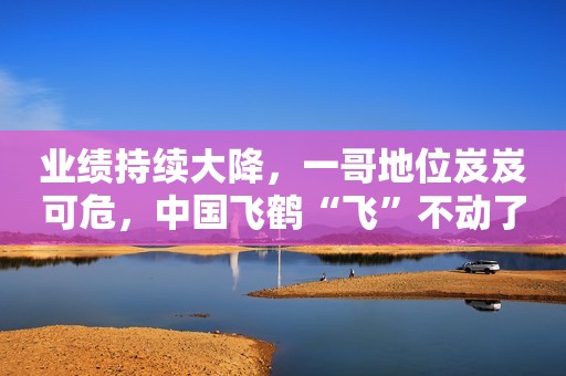 业绩持续大降，一哥地位岌岌可危，中国飞鹤“飞”不动了？