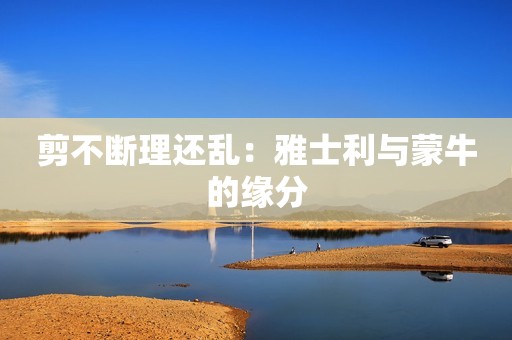 剪不断理还乱：雅士利与蒙牛的缘分