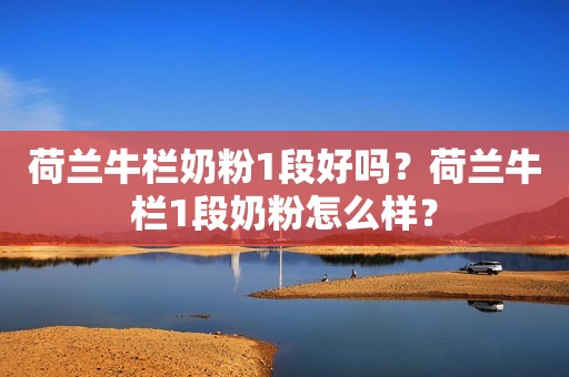 荷兰牛栏奶粉1段好吗？荷兰牛栏1段奶粉怎么样？
