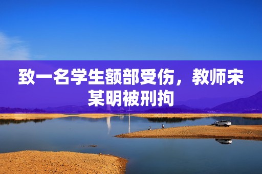 致一名学生额部受伤，教师宋某明被刑拘