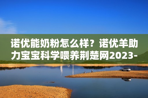 诺优能奶粉怎么样？诺优羊助力宝宝科学喂养荆楚网2023-11-27 14:37荆楚网2023-11-27 14:37