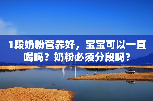 1段奶粉营养好，宝宝可以一直喝吗？奶粉必须分段吗？