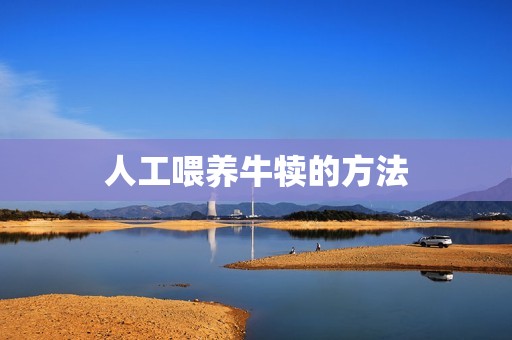 人工喂养牛犊的方法
