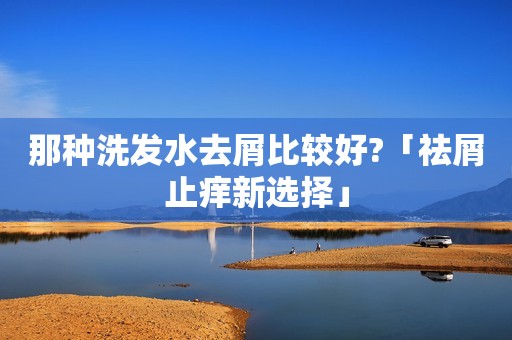 那种洗发水去屑比较好?「祛屑止痒新选择」