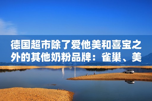 德国超市除了爱他美和喜宝之外的其他奶粉品牌：雀巢、美乐...