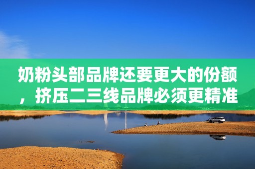 奶粉头部品牌还要更大的份额，挤压二三线品牌必须更精准定位