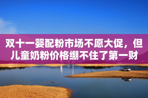 双十一婴配粉市场不愿大促，但儿童奶粉价格绷不住了第一财经2023-11-10 16:21第一财经2023-11-10 16:21
