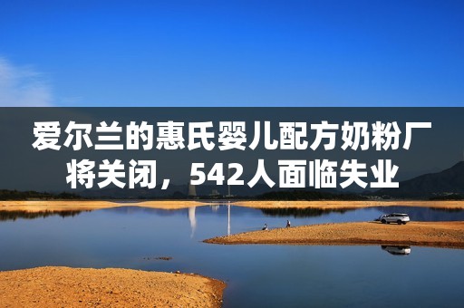 爱尔兰的惠氏婴儿配方奶粉厂将关闭，542人面临失业