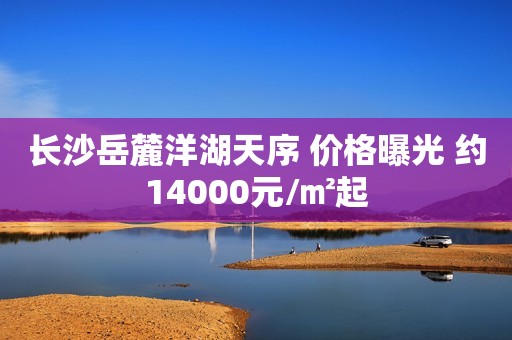 长沙岳麓洋湖天序 价格曝光 约14000元/㎡起