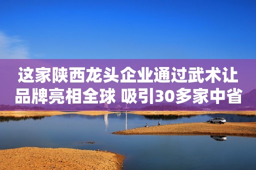 这家陕西龙头企业通过武术让品牌亮相全球 吸引30多家中省媒体聚焦
