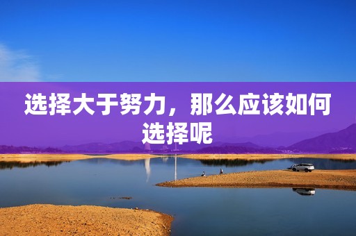 选择大于努力，那么应该如何选择呢