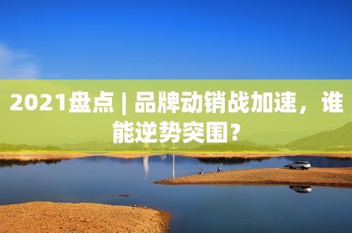 2021盘点 | 品牌动销战加速，谁能逆势突围？