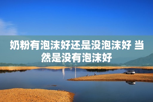 奶粉有泡沫好还是没泡沫好 当然是没有泡沫好
