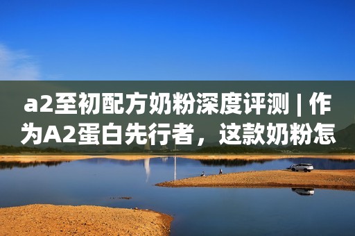 a2至初配方奶粉深度评测 | 作为A2蛋白先行者，这款奶粉怎么样？