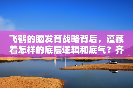 飞鹤的脑发育战略背后，蕴藏着怎样的底层逻辑和底气？齐鲁壹点2023-12-07 16:35齐鲁壹点2023-12-07 16:35