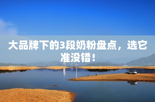 大品牌下的3段奶粉盘点，选它准没错！