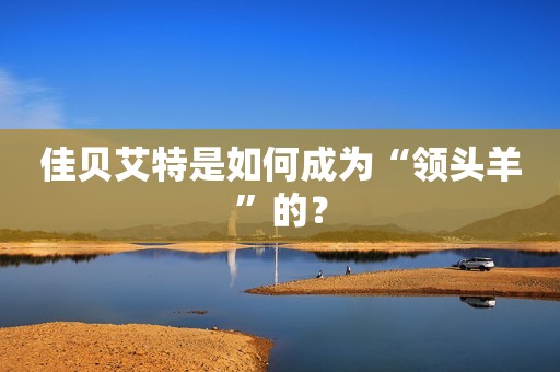佳贝艾特是如何成为“领头羊”的？